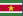 Paramaribo flag