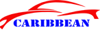 Caribbean Auto Terminal logo